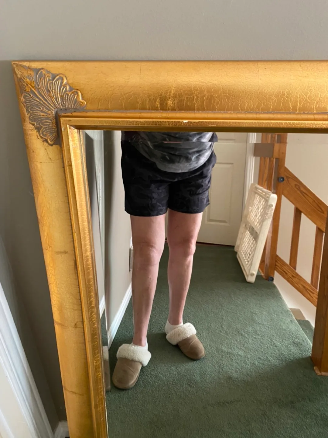 Gold Framed Mirror image indicator(2)