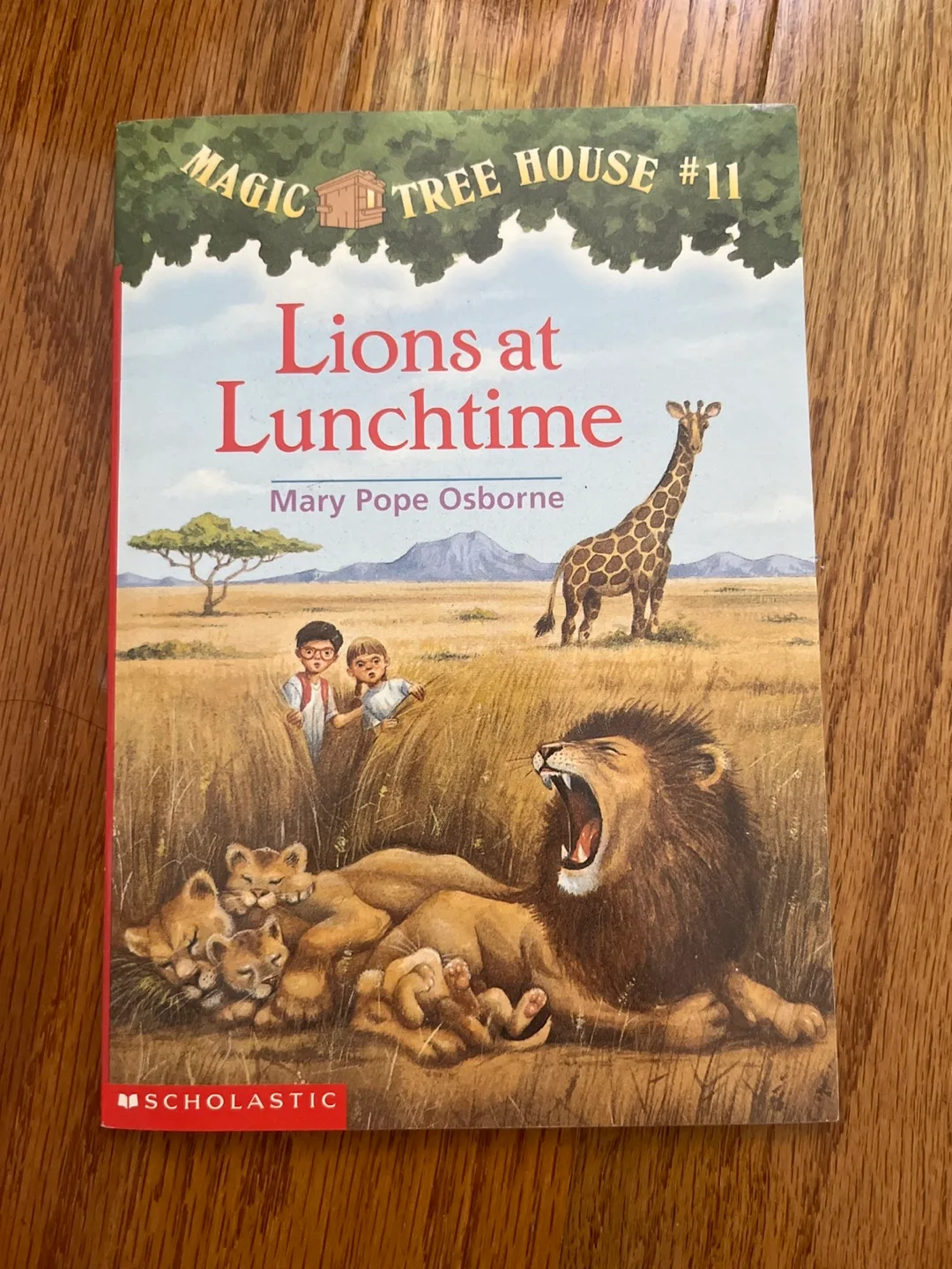 #Freecycle Magic Tree House #11: Lions at Lunchtime thumbnail