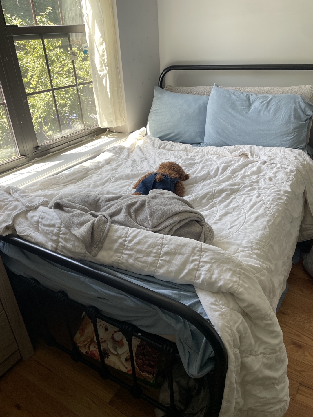 Black Metal Bed frame