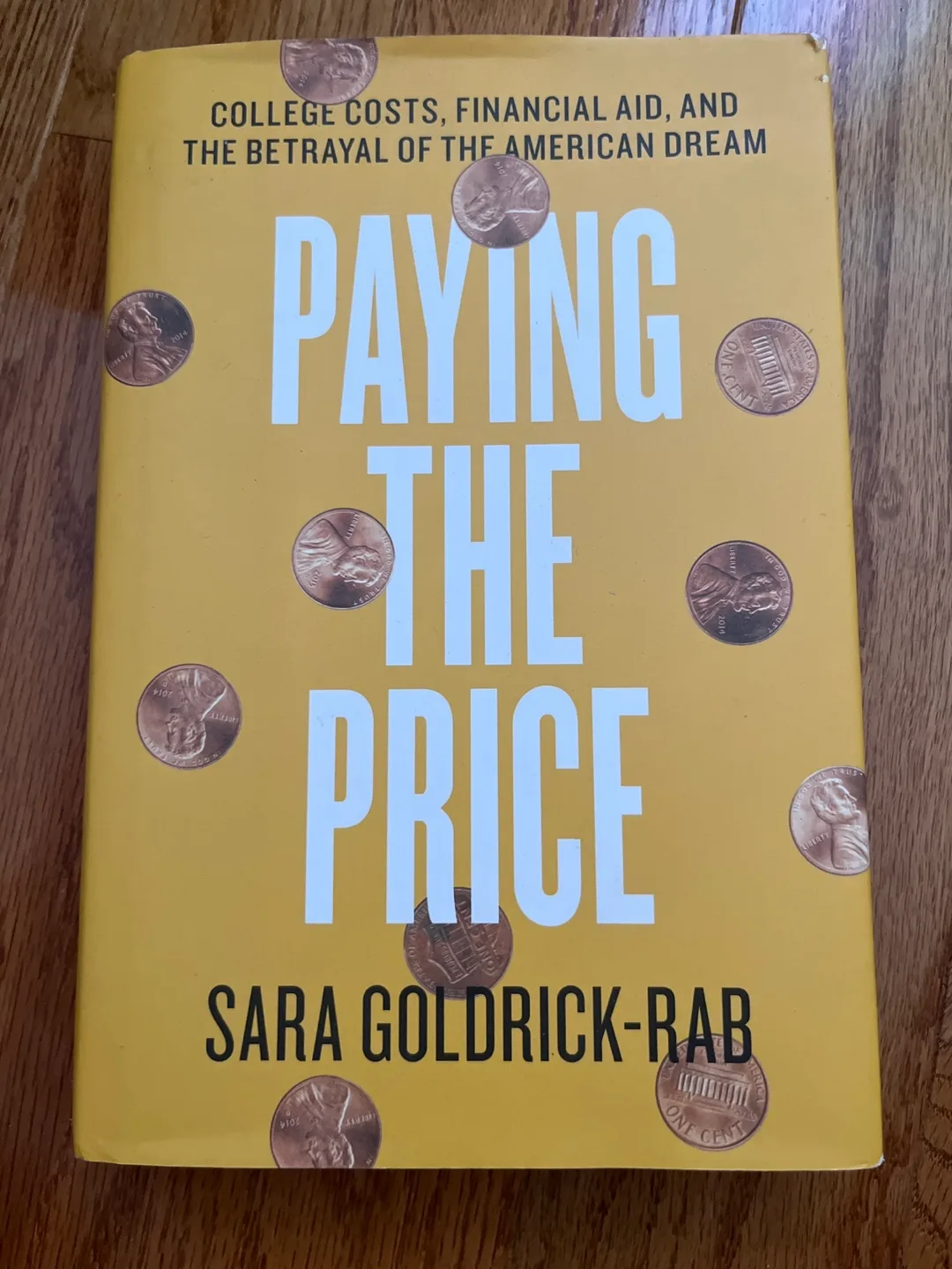 #Freecycle Paying the Price by Sara Goldrick-Rab thumbnail