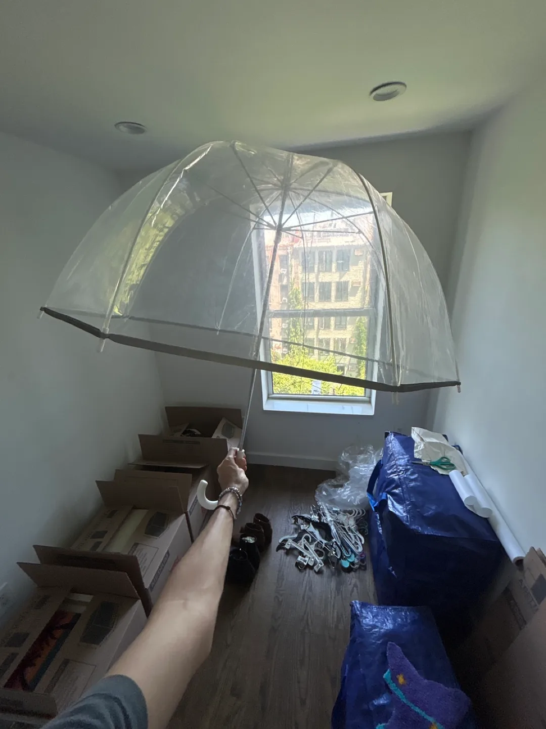 Clear Bubble Umbrella - New! (Never used even once) thumbnail