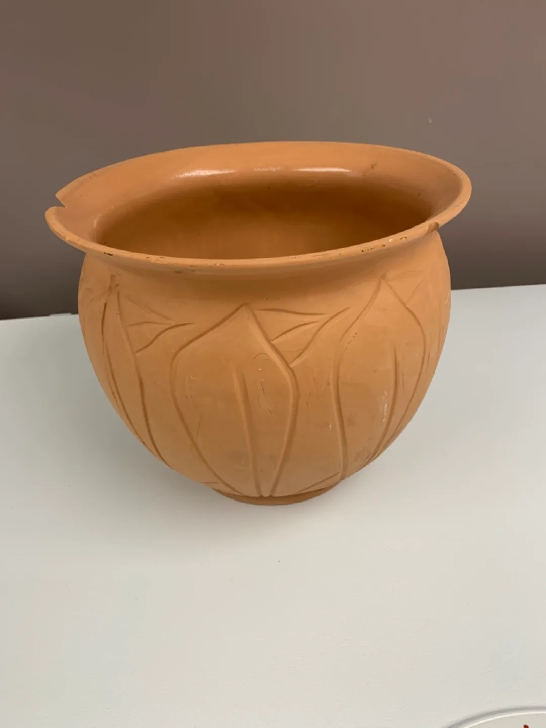 Terracotta Plant Pot with Leaf Design #freecycle thumbnail