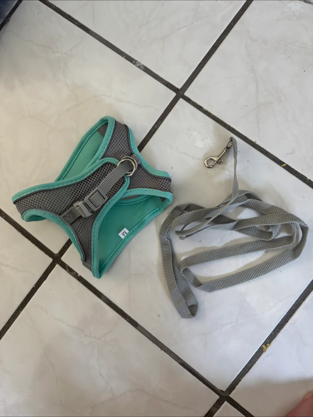 Cat Harness & Leash thumbnail