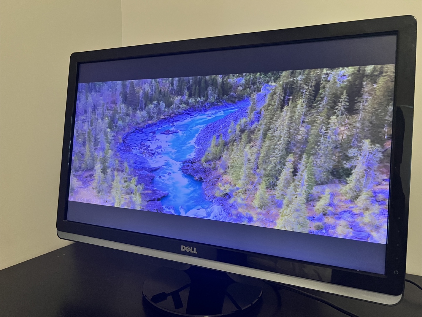 Dell Computer Monitor