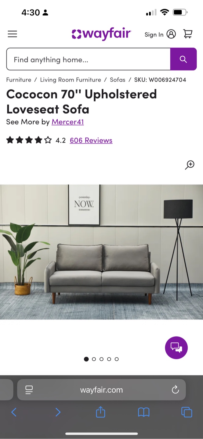 Gray couch and rug - photo 3