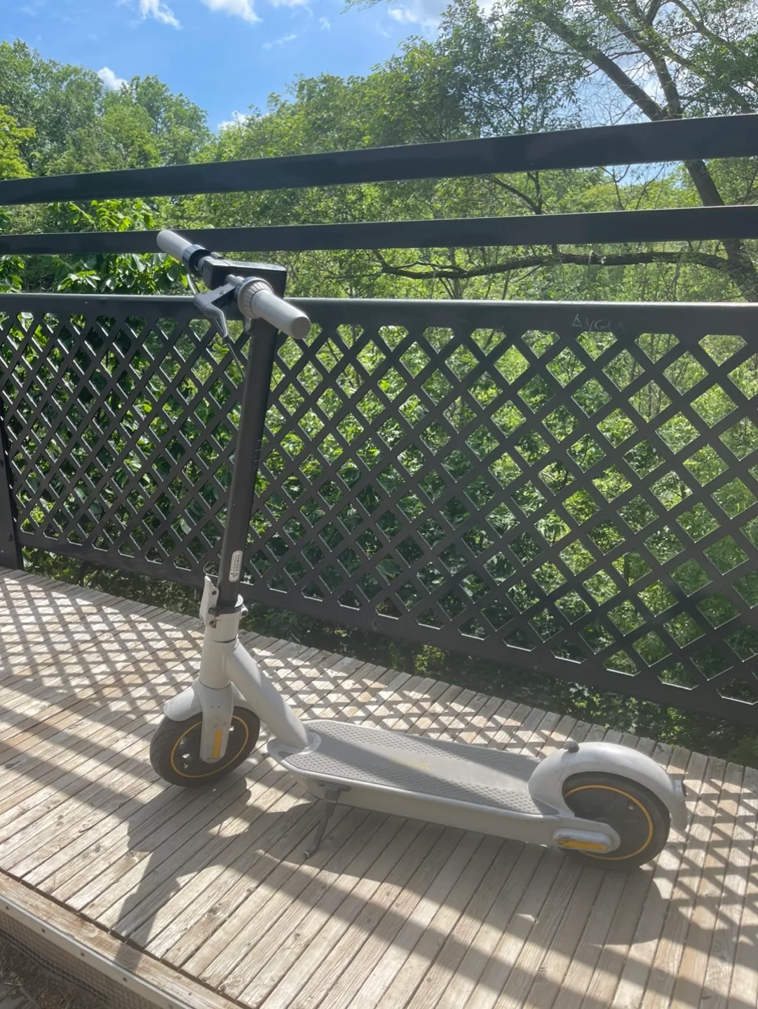 Ninebot Segway E22 Electric Scooter image indicator(6)