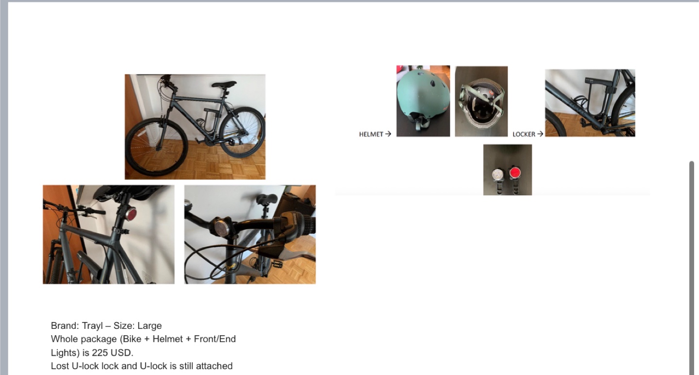 Trayl Bike Package (Large) with Helmet & Lights