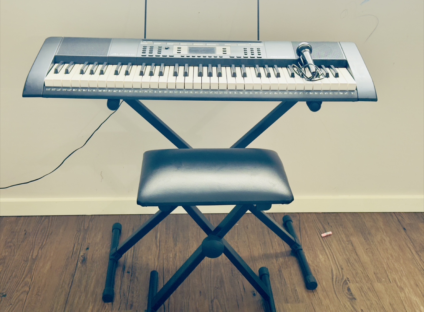 Alesis Melody 61 Keyboard with Stand & Microphone - photo 2