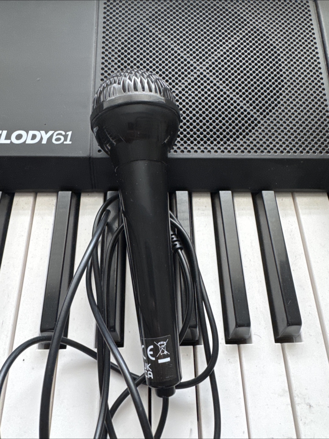Alesis Melody 61 Keyboard with Stand & Microphone - photo 3