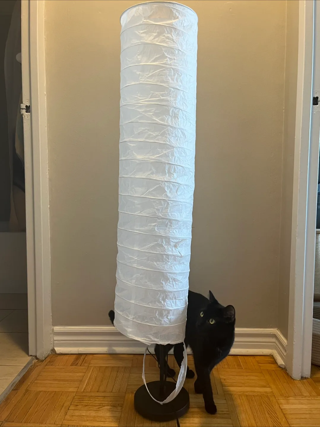 IKEA Holmö Floor Lamp #freecycle thumbnail