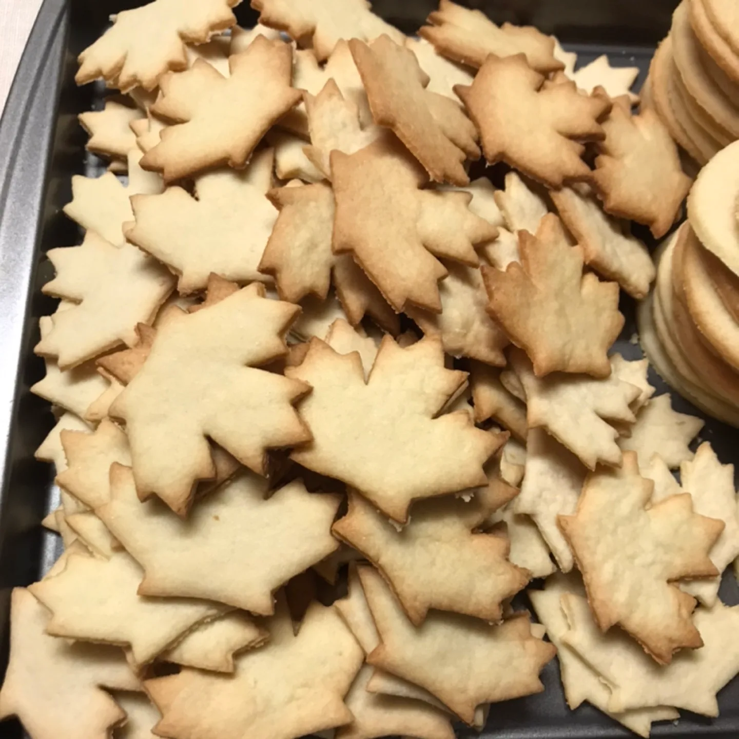 Sugar Cookies - Size Small 12 Pack - Home Baked thumbnail