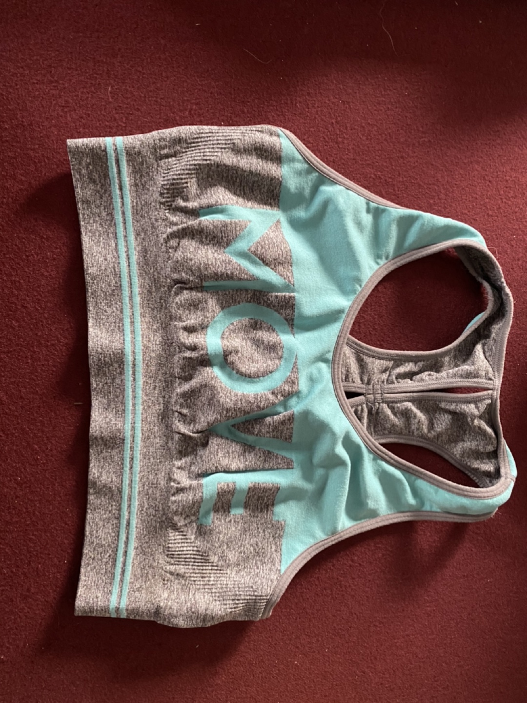 Gray & Aqua Sports Bra - Size Small