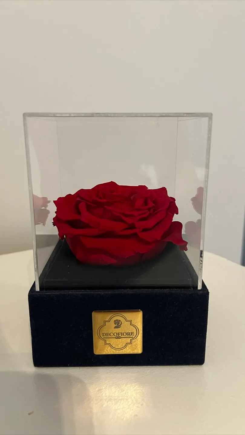 Decofiore Eternal Rose in Acrylic Box thumbnail