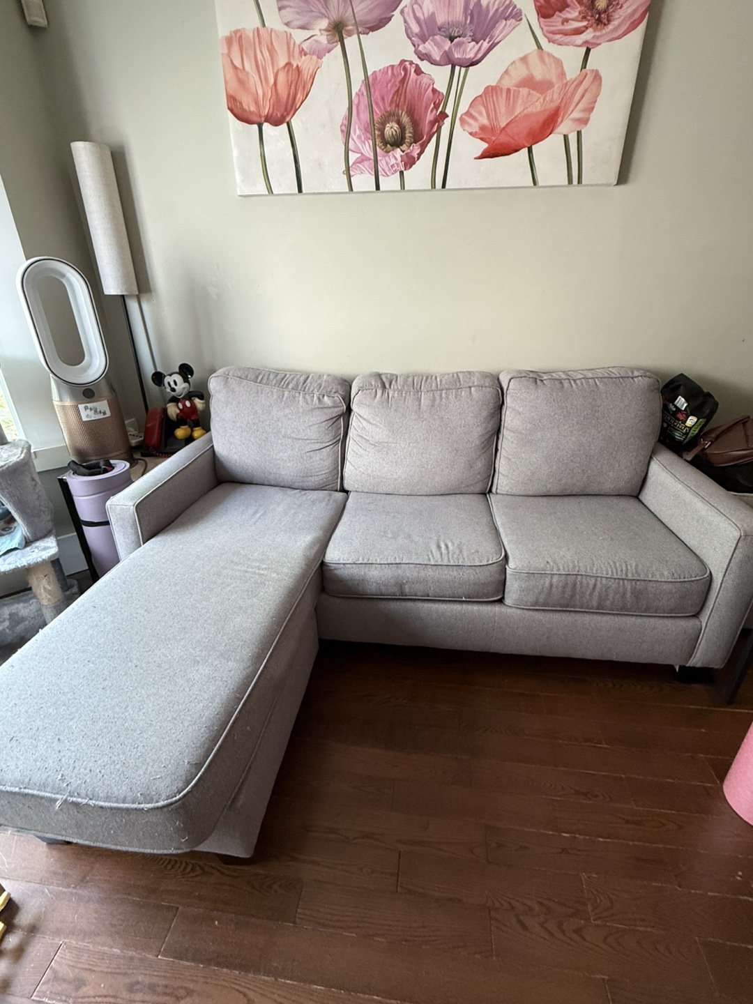 Light Grey Sectional Sofa with Chaise