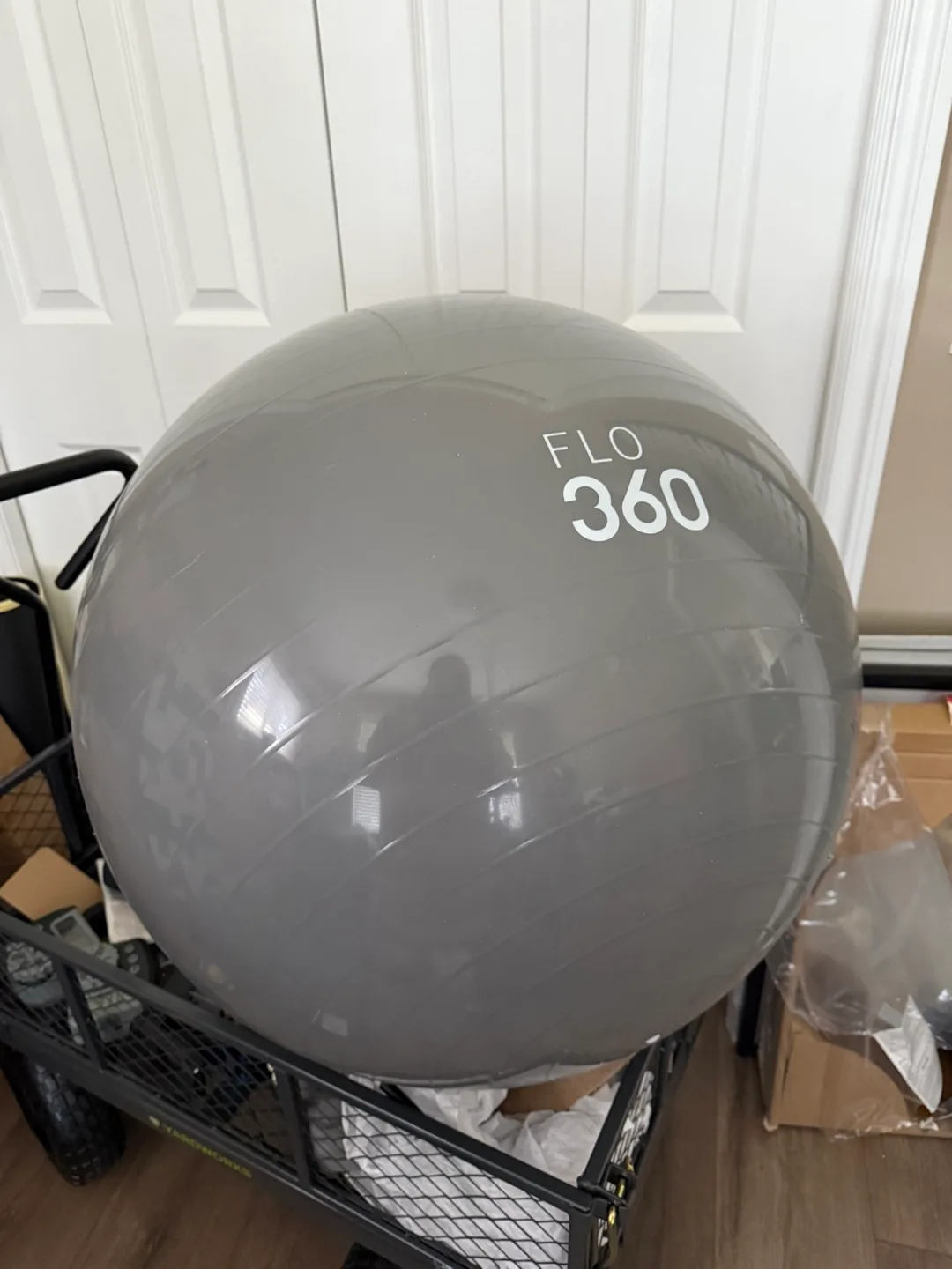 #freecycle Exercise Ball thumbnail