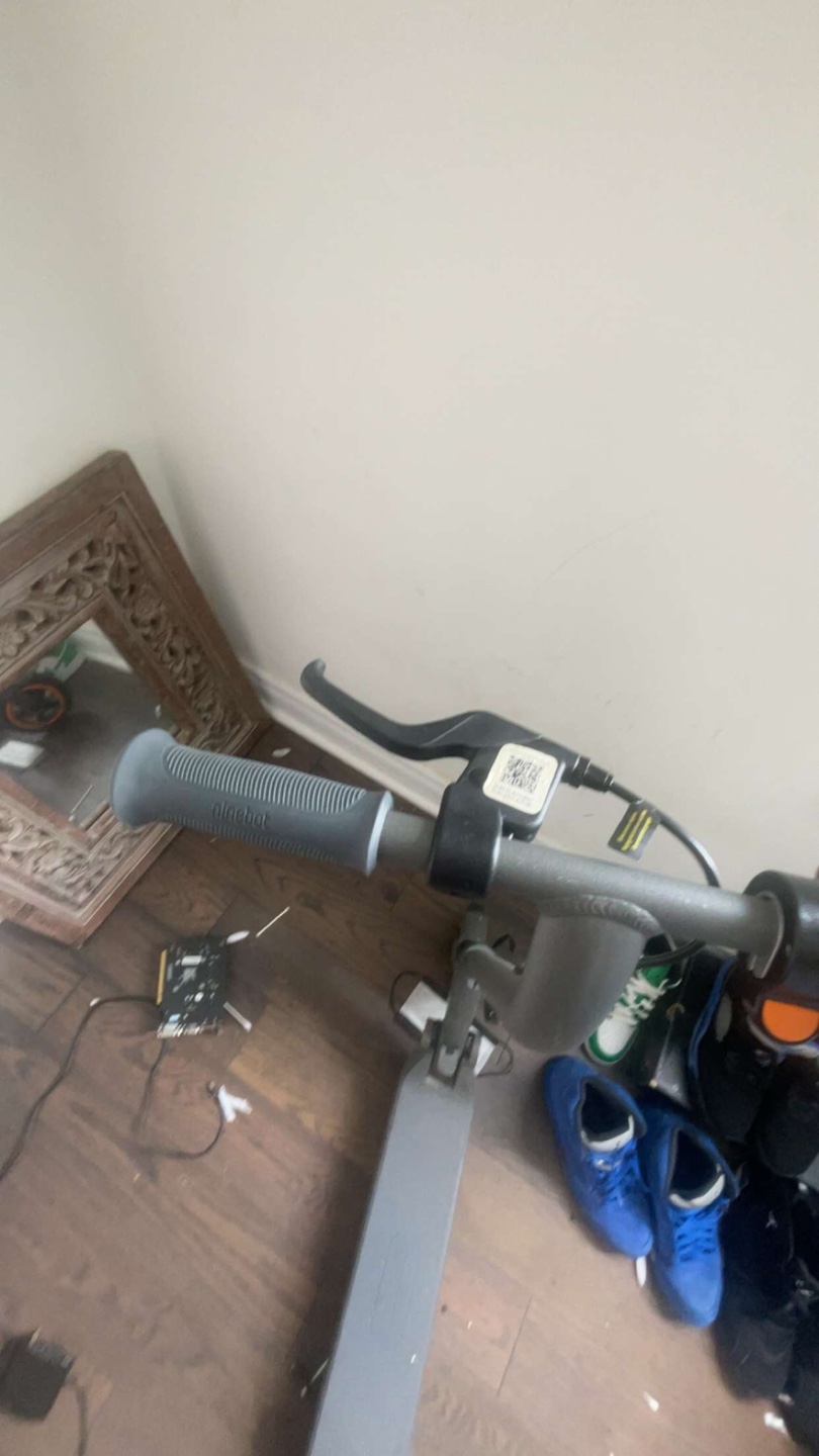 Ninebot Electric Scooter