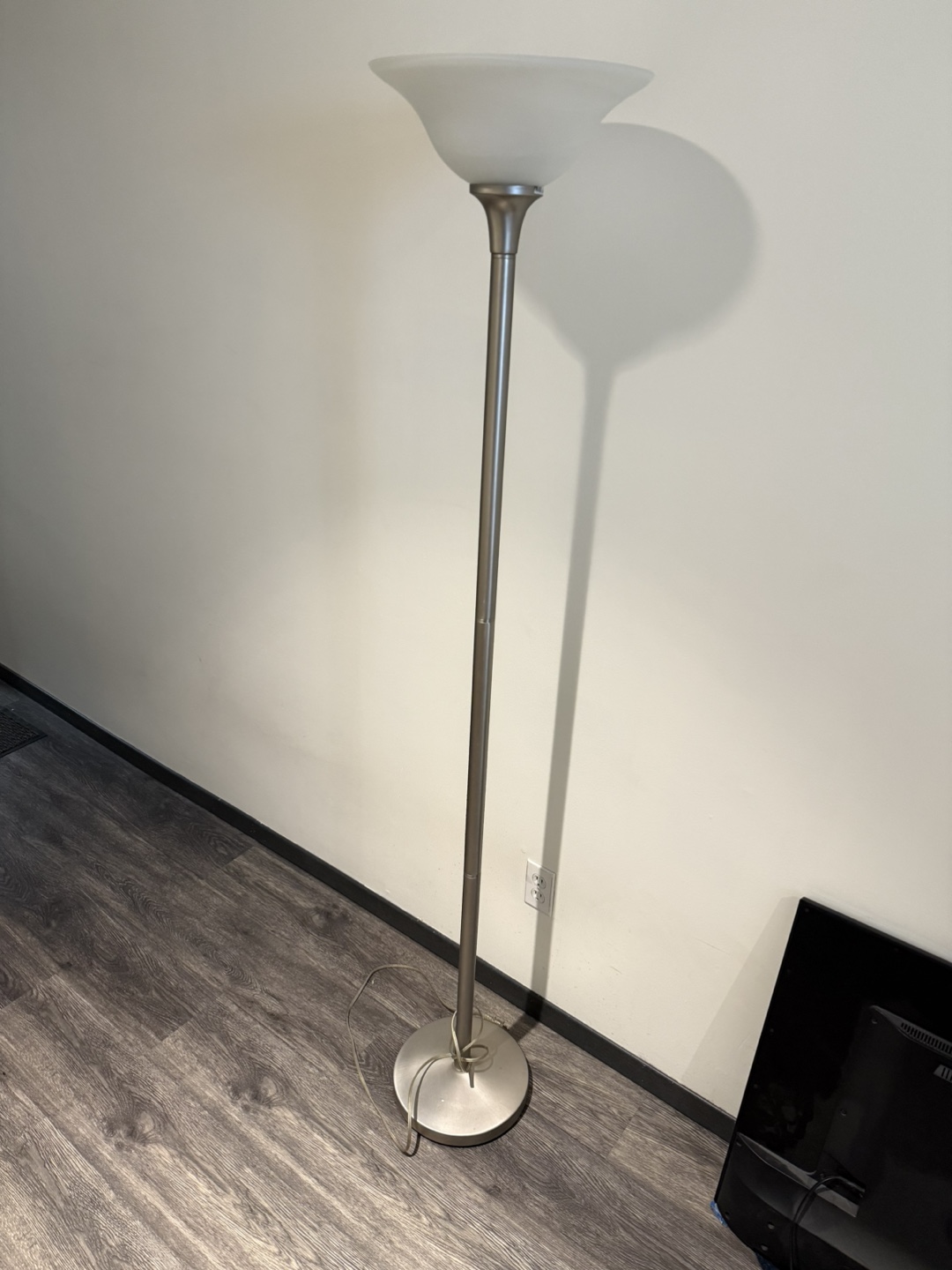 Floor Lamps with Frosted Glass Shade (2)