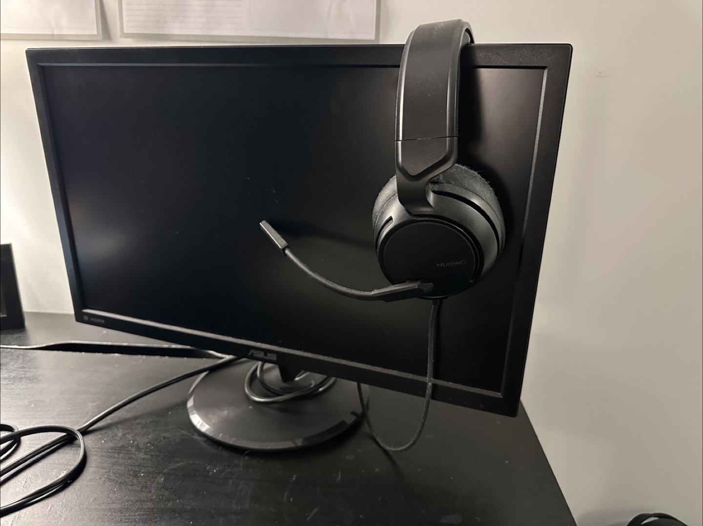 21 inch Monitor with headphones