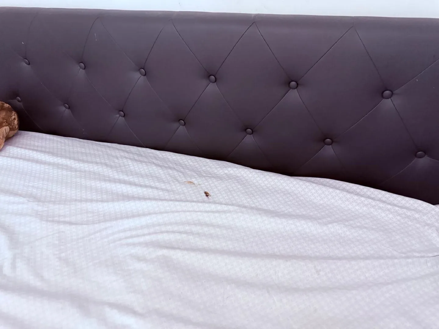 Queen size cot ( cot alone )with 4 storage image indicator(4)