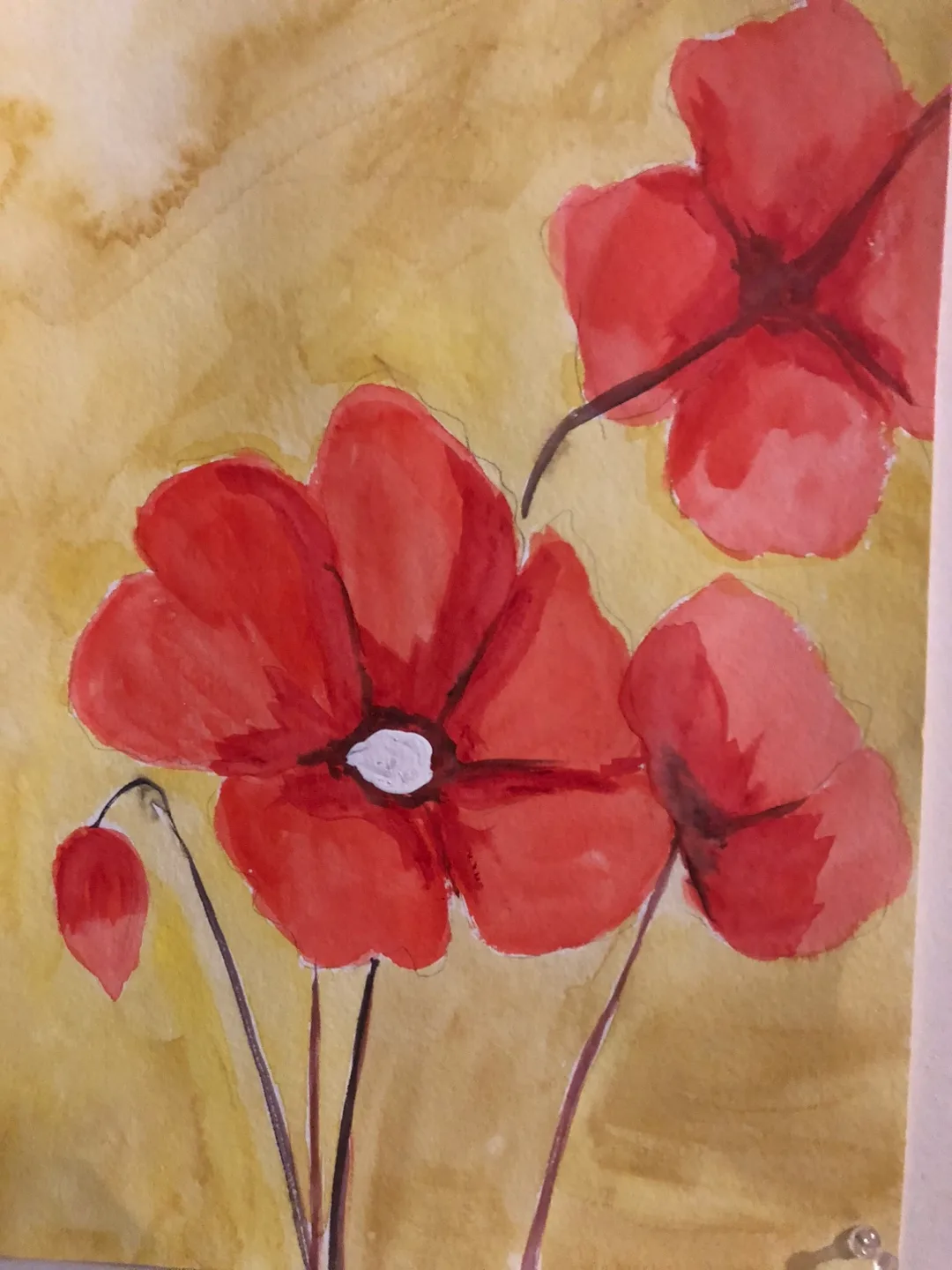 $5 to $20 Paintings on Canvas and weight Paper image indicator(7)