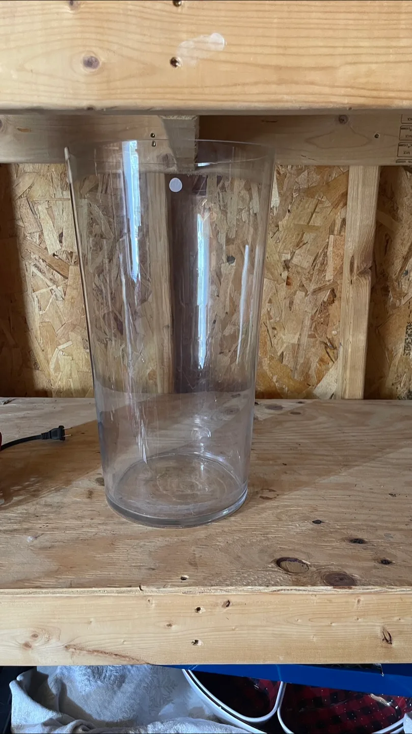 Clear Glass Vase thumbnail