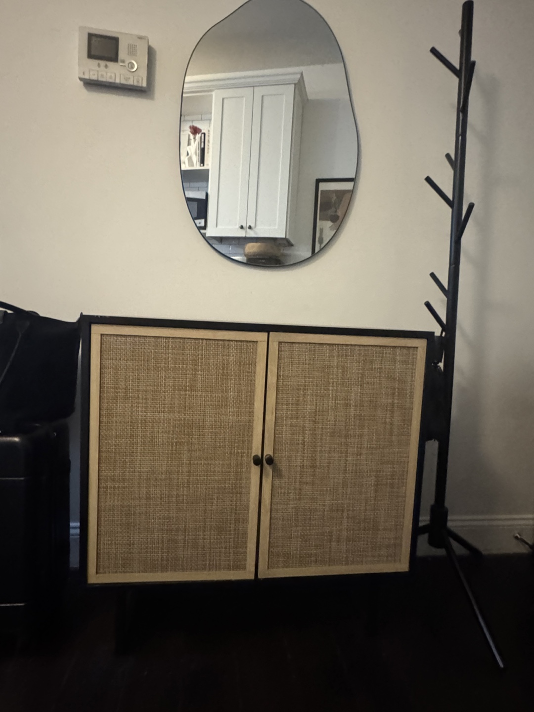 Rattan Door Accent Cabinet