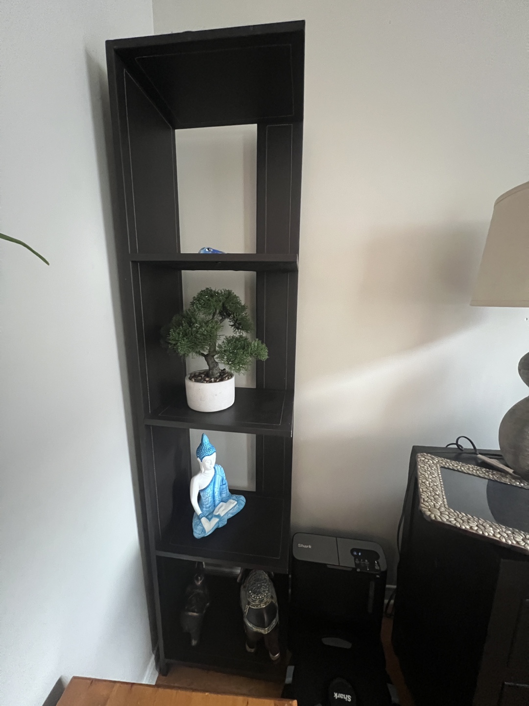 Black Bookshelf