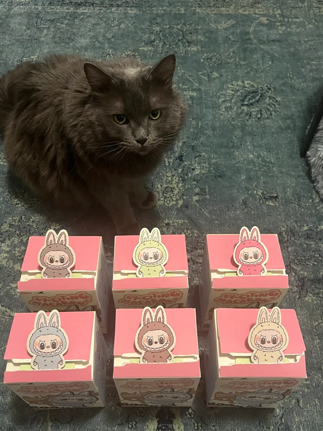 Labubu First Gen – Brand New, Authentic w/ QR Code! image indicator(4)