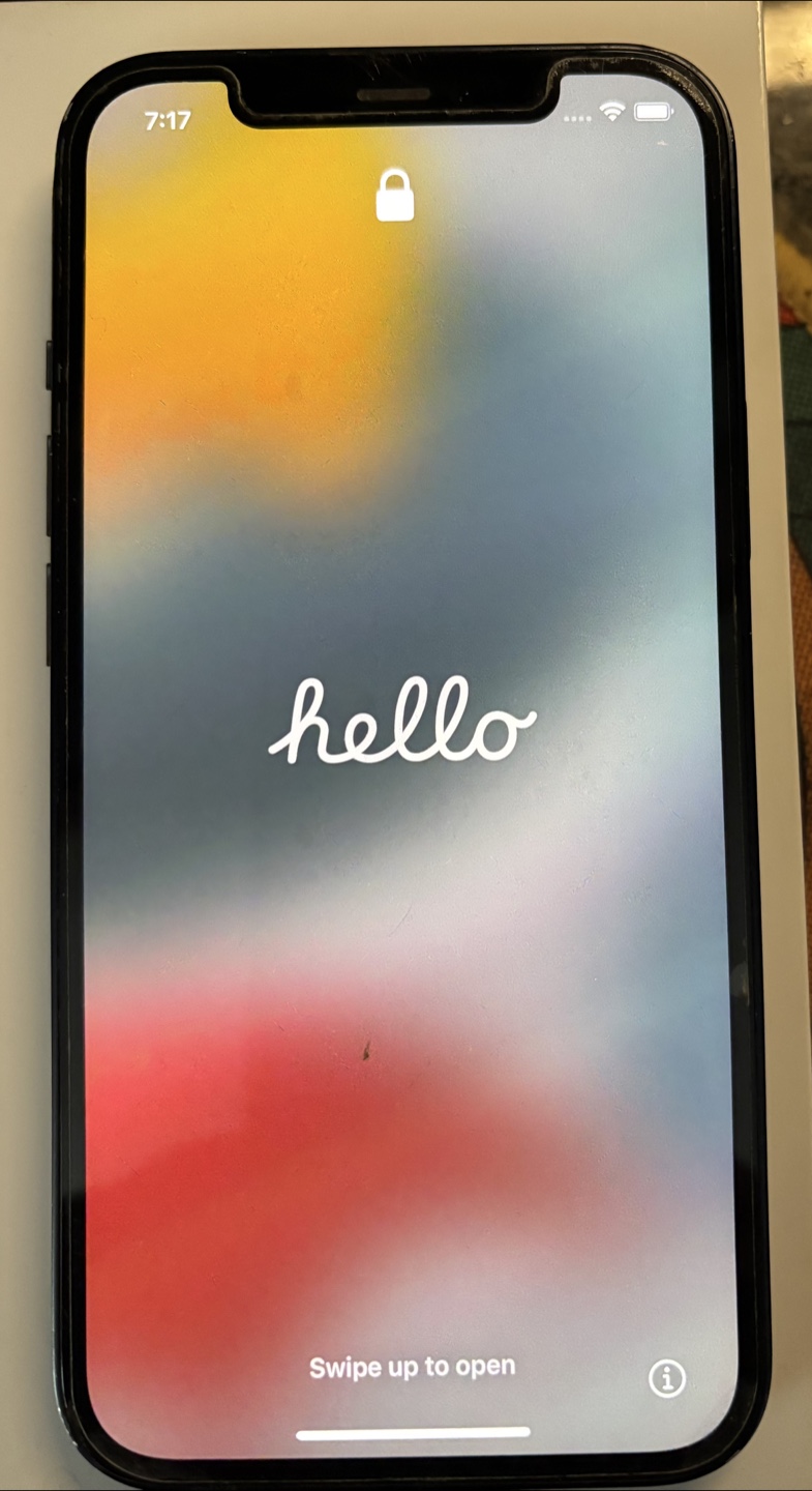 iPhone 12 - photo 4