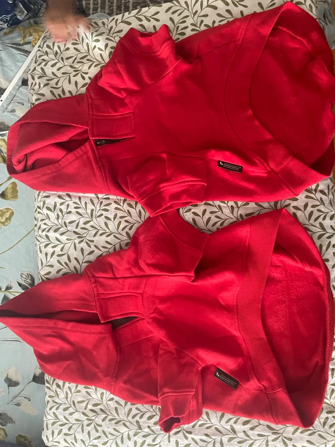 Red Dog Hoodies - Size Small #freecycle image indicator(2)