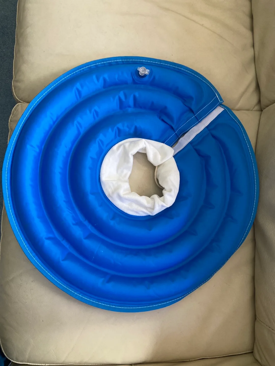 Blue Inflatable Pet Recovery Collar thumbnail