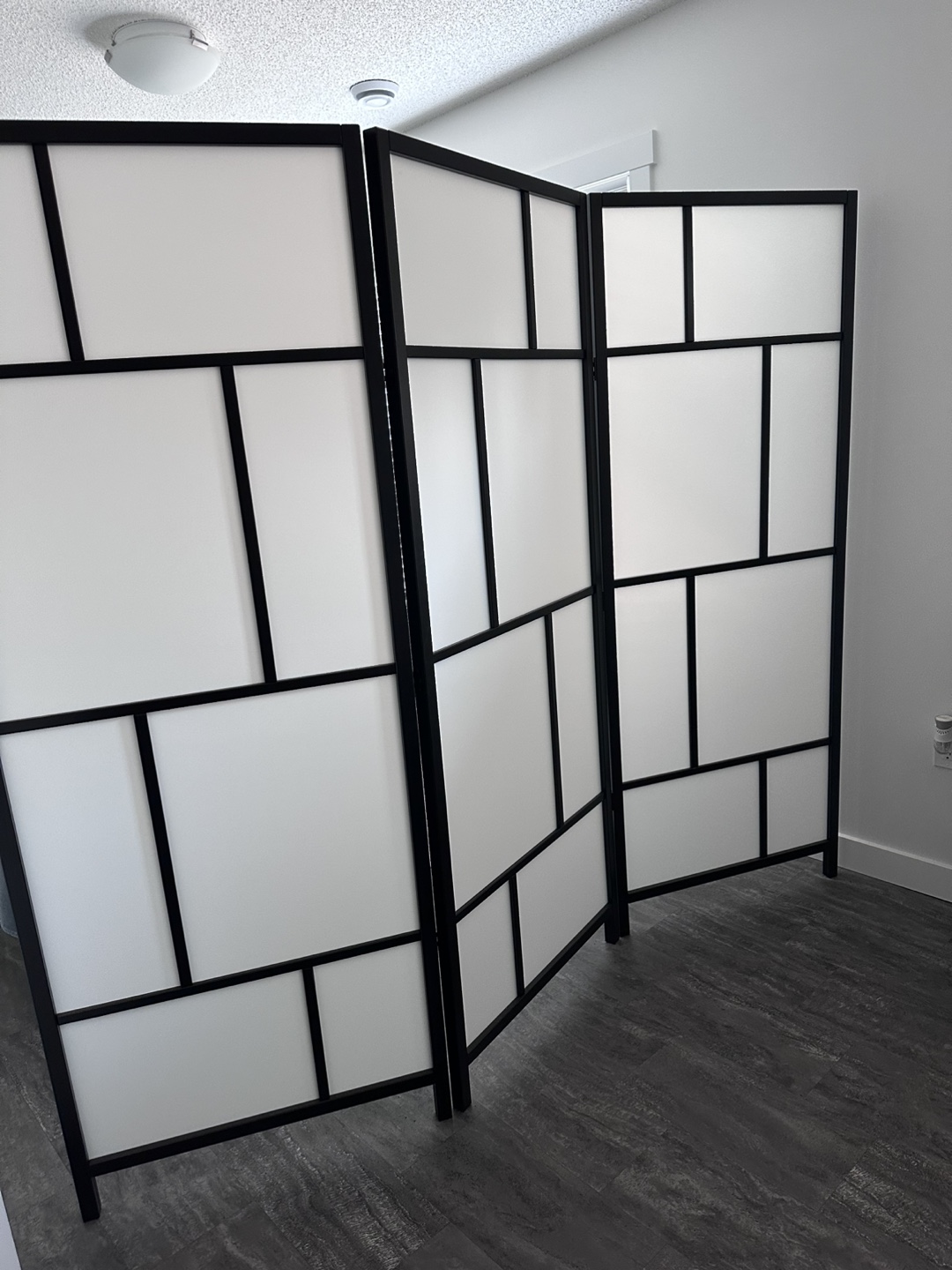 Black Frame Room Divider