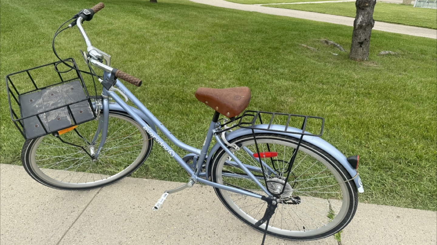 Everyday Bike - Light Blue - photo 3