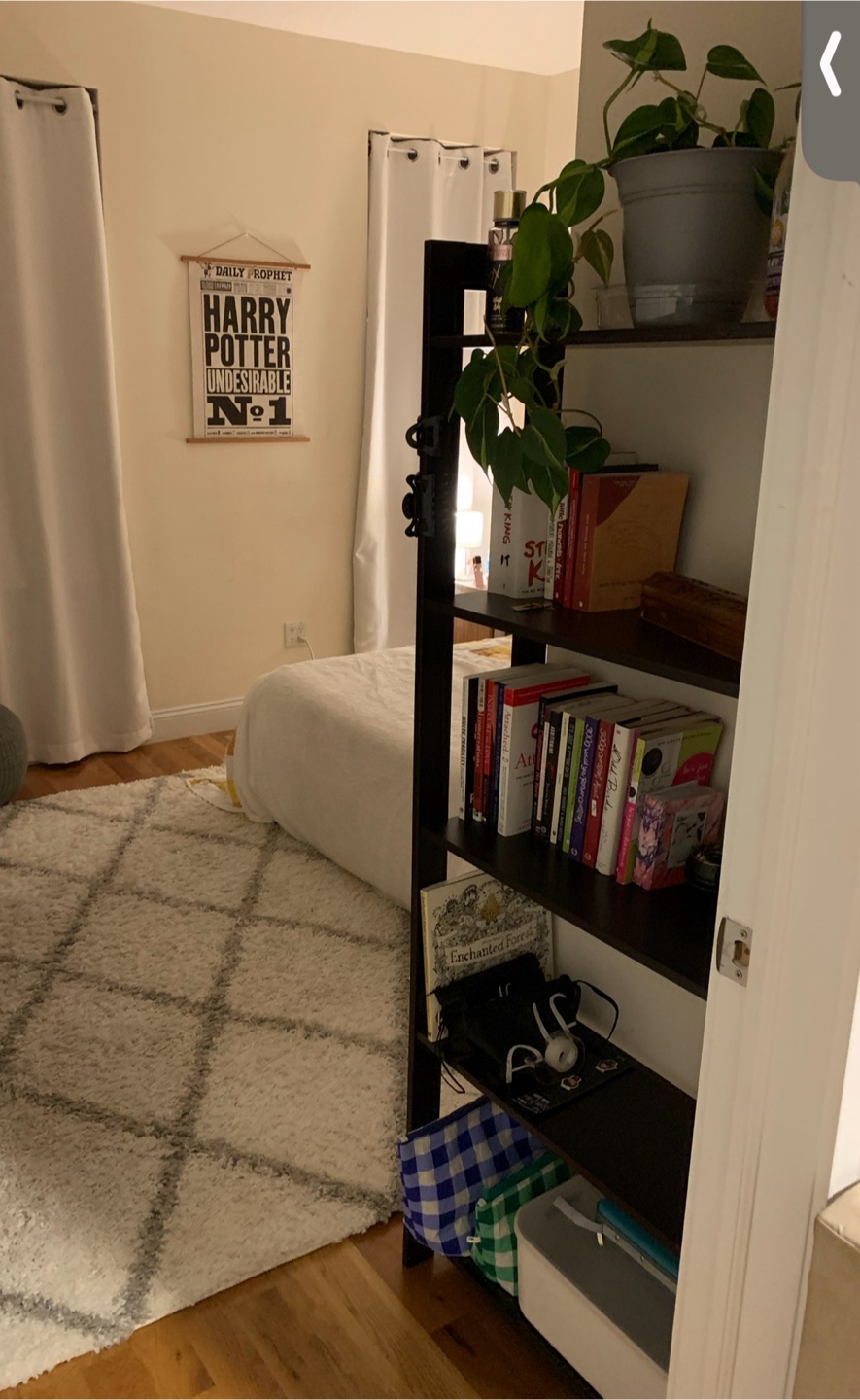 Dark Brown Bookshelf