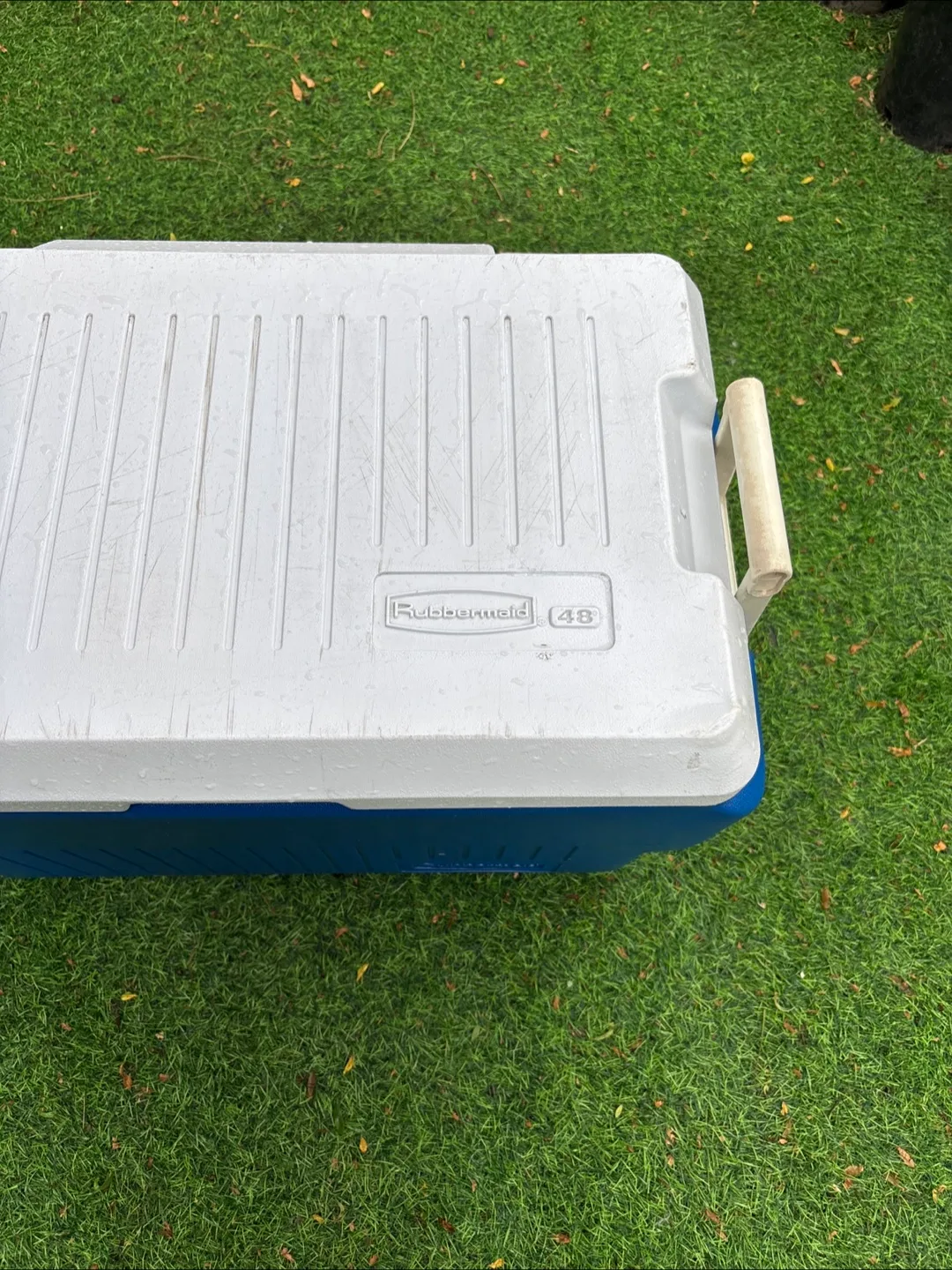 Rubbermaid 48-Quart Cooler - Blue & White image indicator(2)