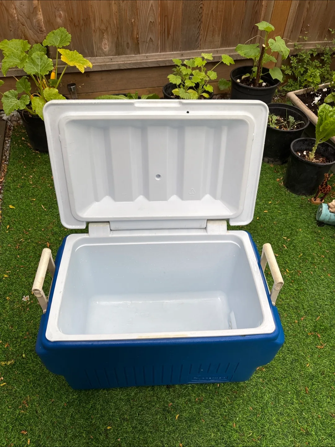 Rubbermaid 48-Quart Cooler - Blue & White image indicator(4)