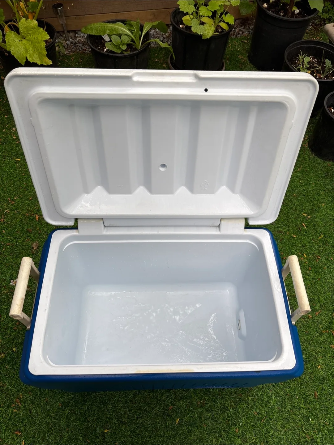 Rubbermaid 48-Quart Cooler - Blue & White image indicator(5)