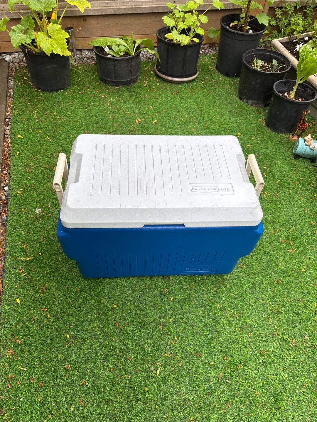 Rubbermaid 48-Quart Cooler - Blue & White image indicator(3)