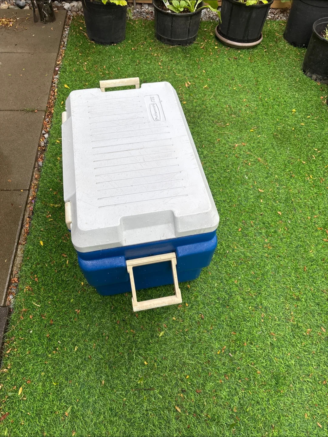 Rubbermaid 48-Quart Cooler - Blue & White image indicator(6)