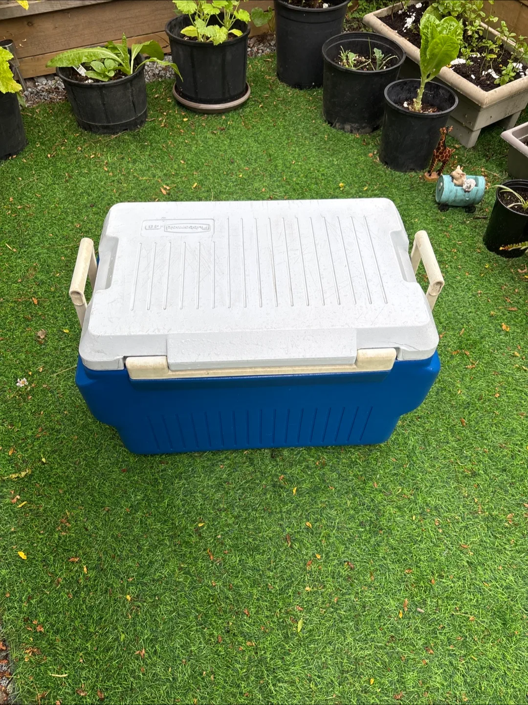 Rubbermaid 48-Quart Cooler - Blue & White image indicator(7)