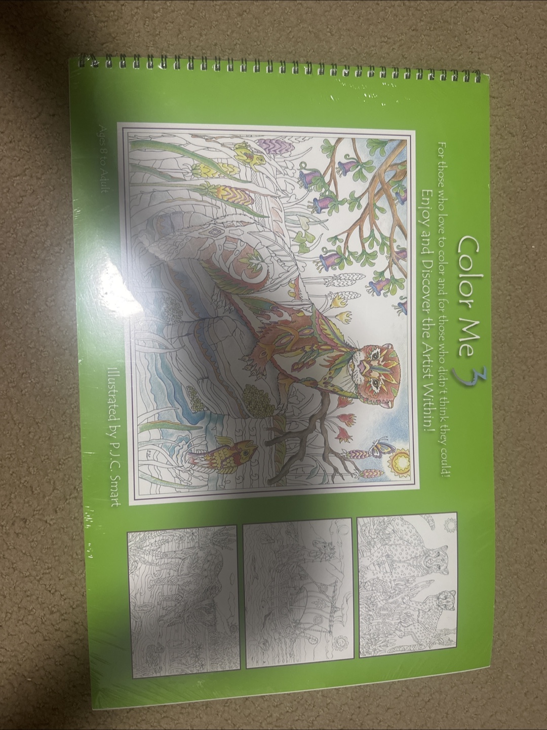 Color Me 3 Coloring Book - Ages 8 to Adult