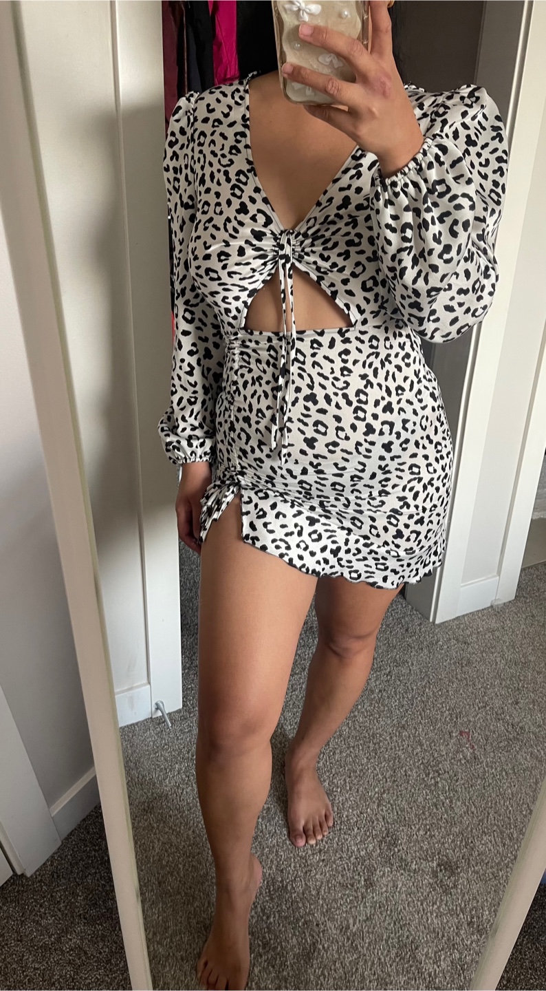 Leopard Print Mini Dress