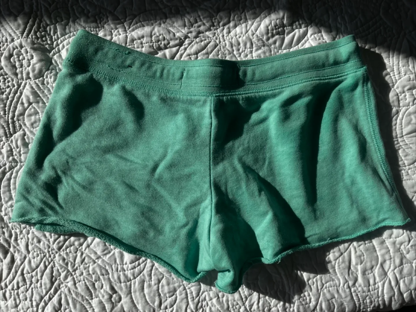 Aeropostale Shorts - Size S/P image indicator(2)