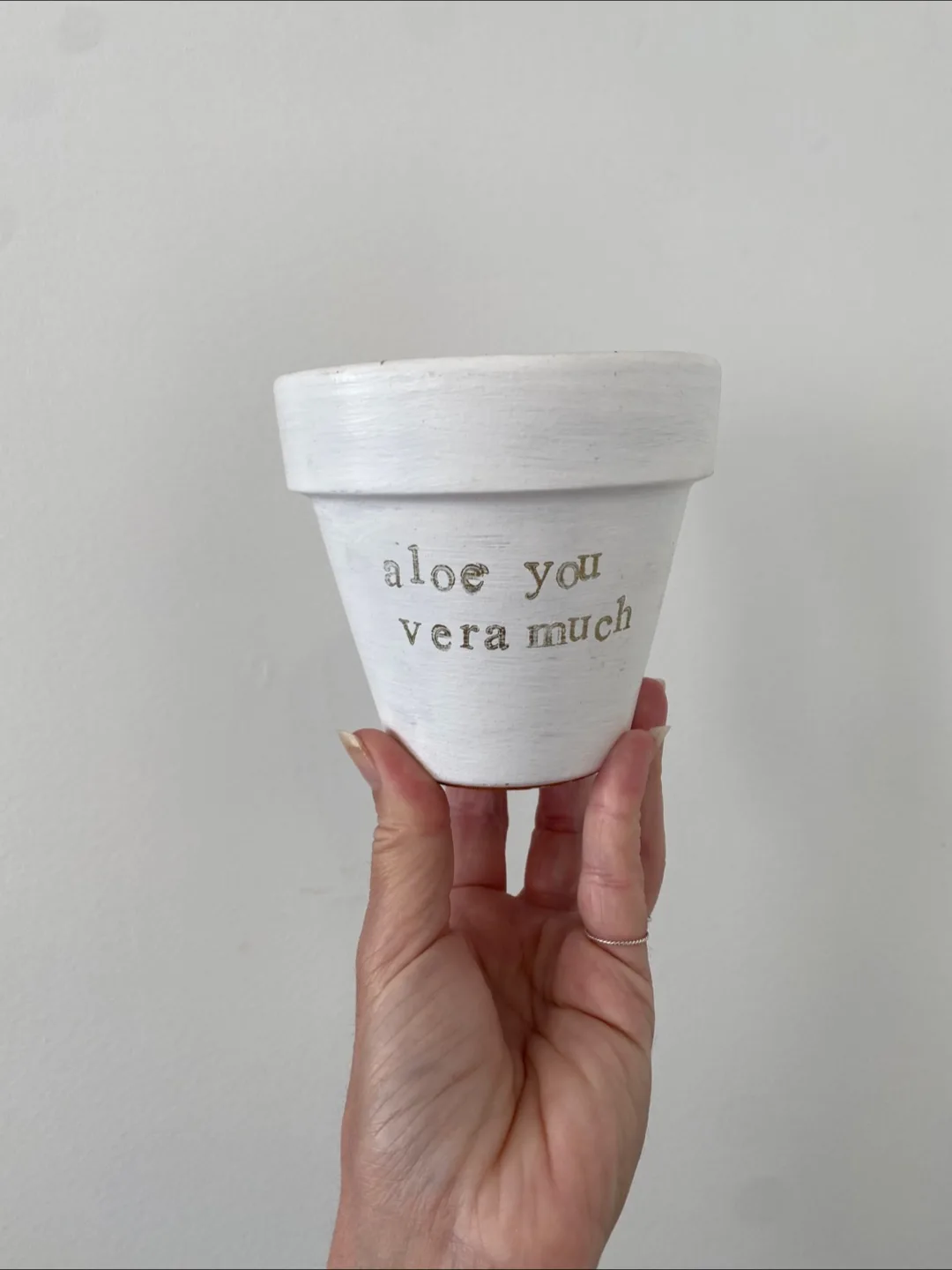 Painted Terra Cotta Pot thumbnail