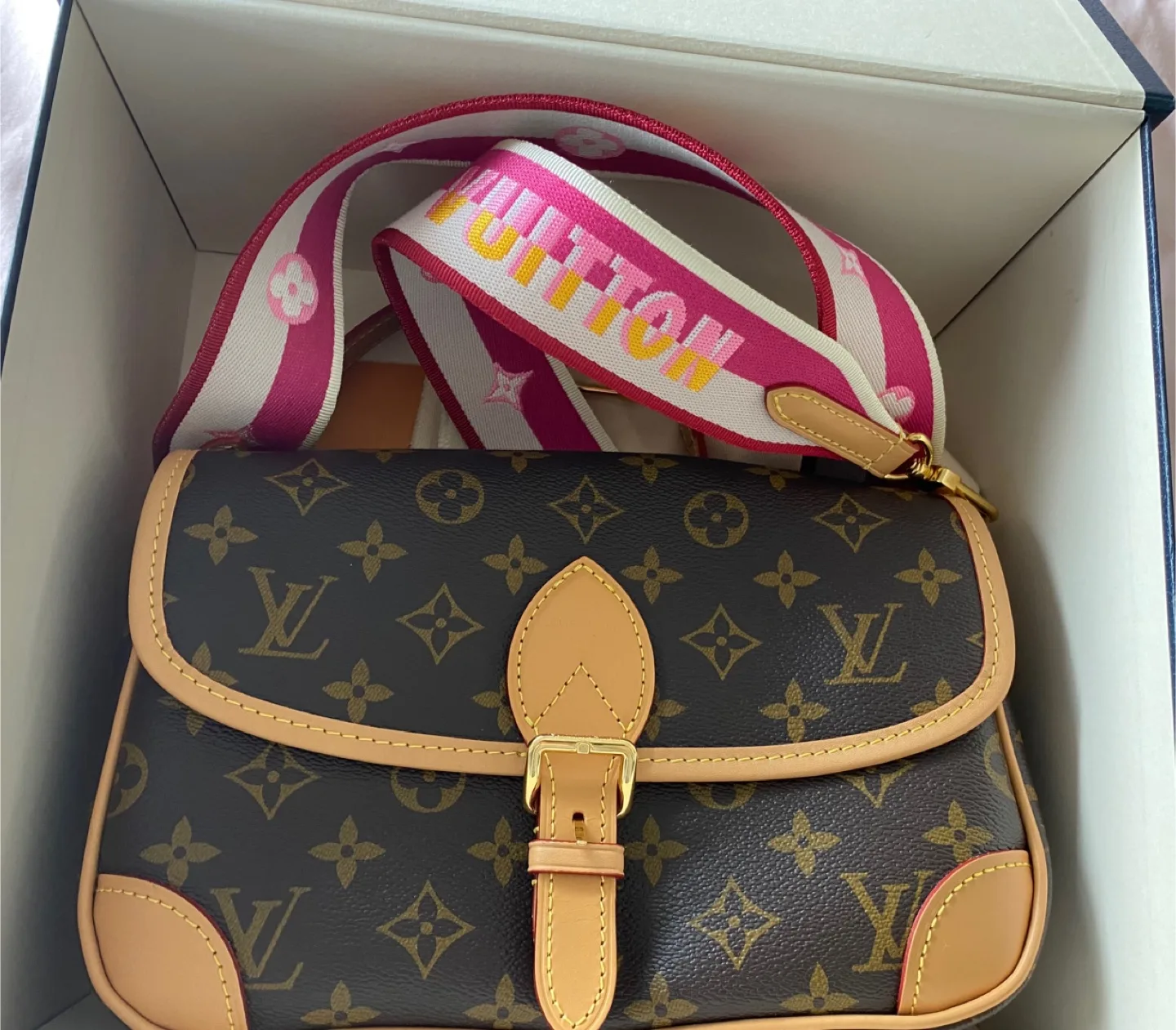 Louis Vuitton Bag thumbnail