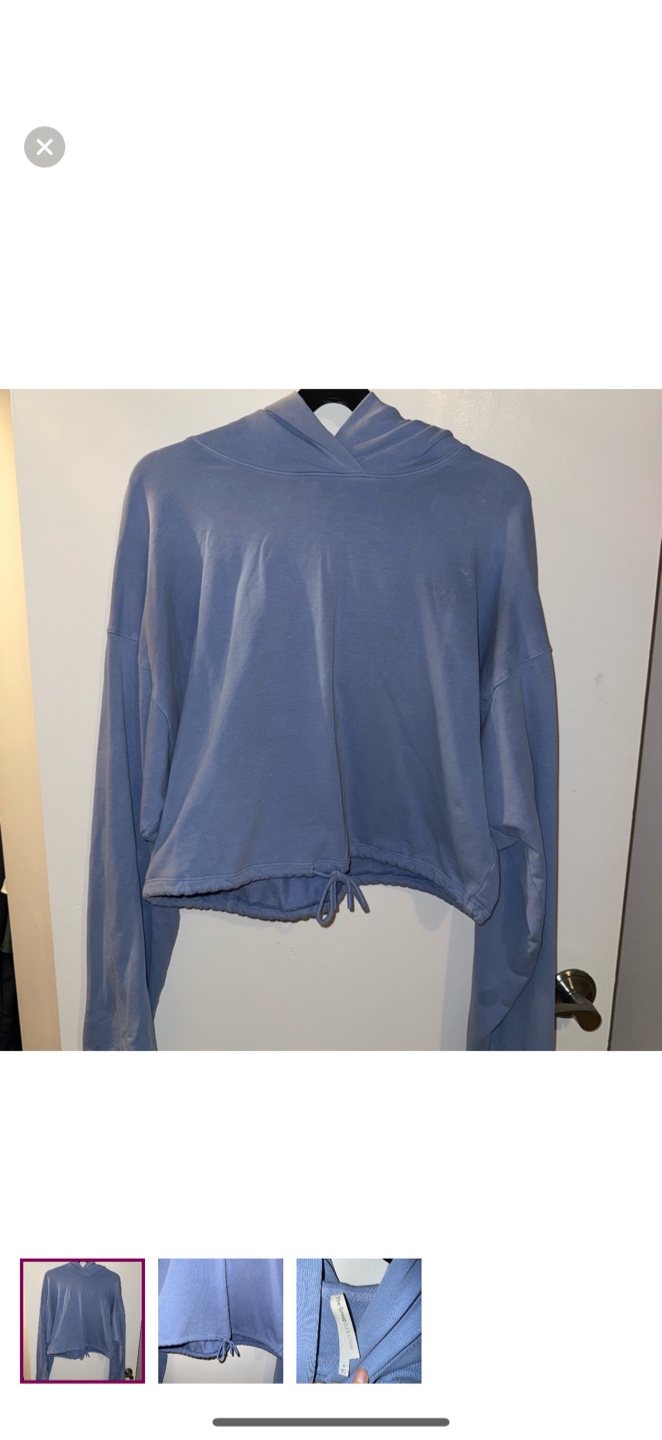 Aritzia  Blue Hoodie - Size M