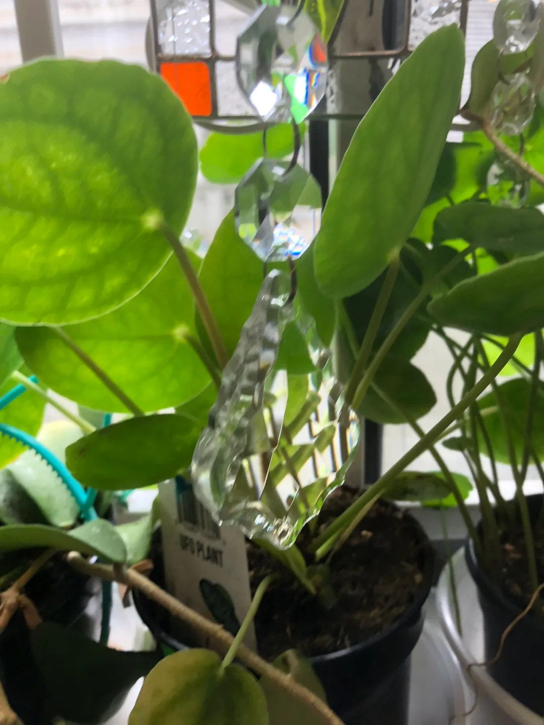 Crystal Suncatcher image indicator(2)