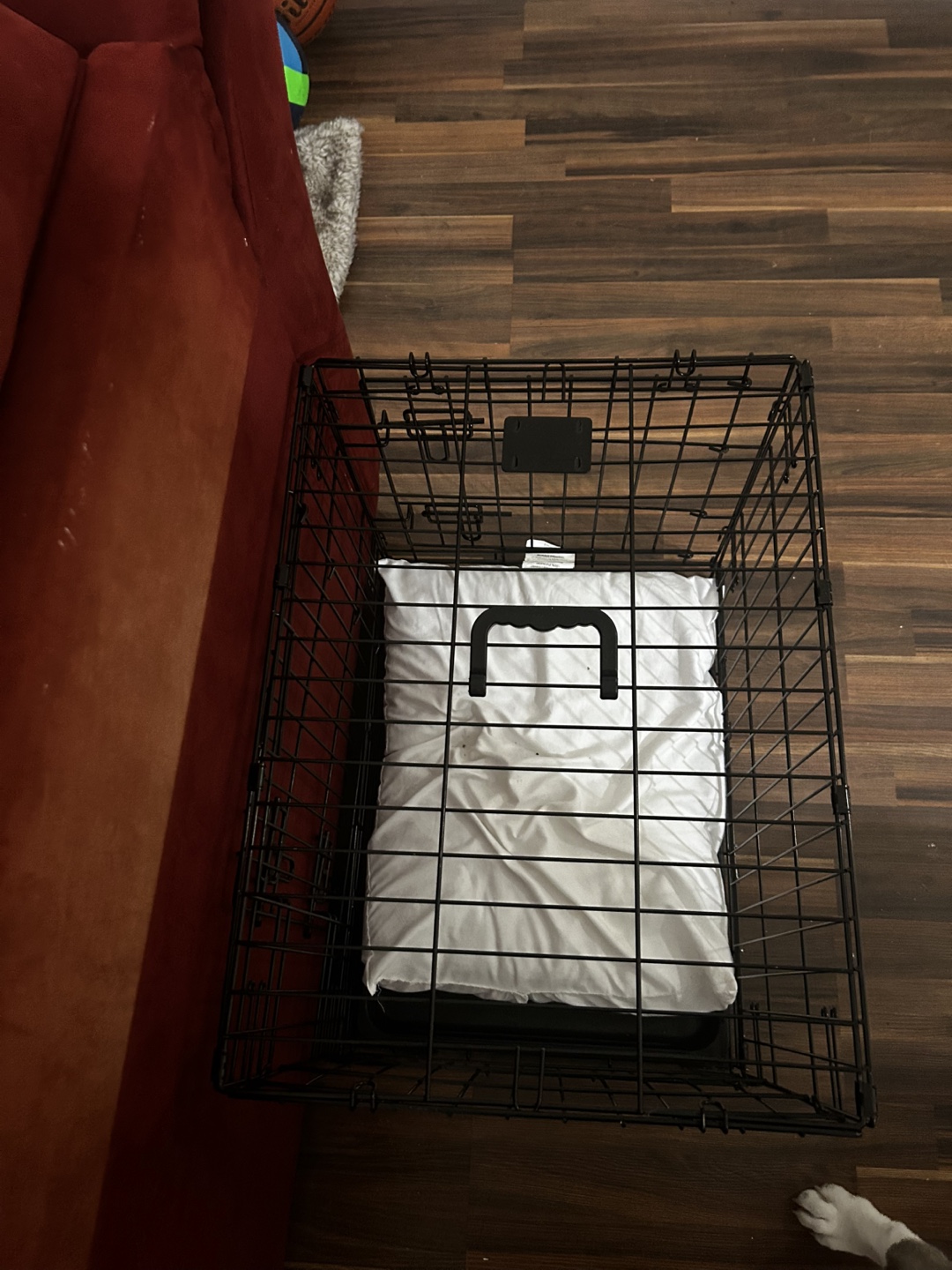 Black Wire Dog Crate