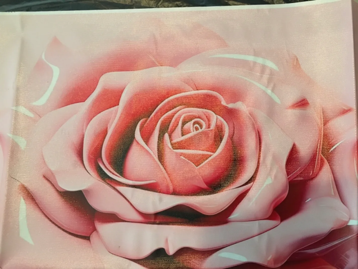 Rose Canvas Art, 12x12 inches thumbnail