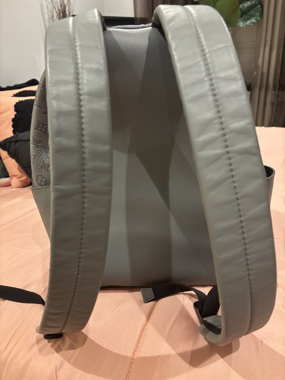 Louis Vuitton Gray Leather Backpack - photo 3